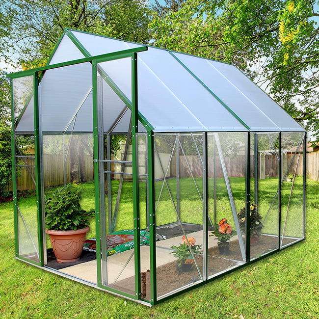 Greenhouse in summer